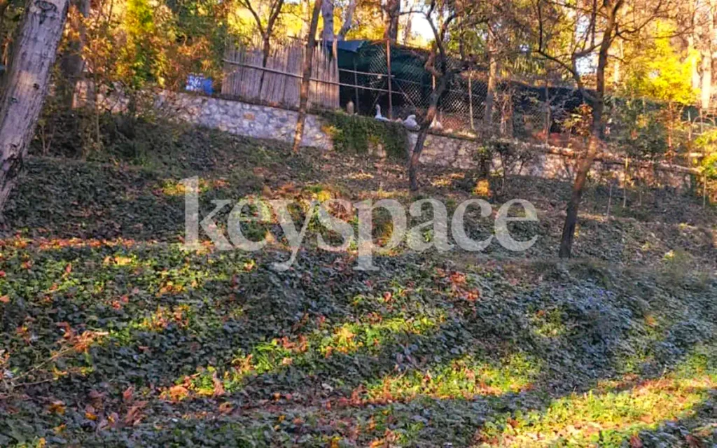 Terreno Via Bastia Alta – Agenzia immobiliare a Vicenza e provincia | Keyspace